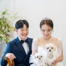 아모르 하우스 티스토리