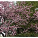 남동국민체육센터 이미지