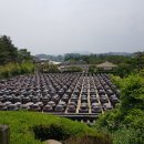 돈버는 토지투자_알고사면 돈되는 부동산