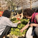 고향자녀농장 이미지