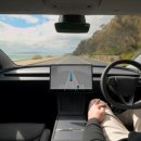 동양택시(주) 이미지