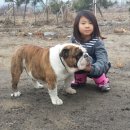 막내 이미지