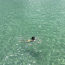 스테이 마르하바 이미지