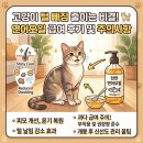 오일낚시 | 단모종 고양이 영양제, 연어오일 급여 후기와 모질 변화 주의점