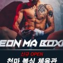 천마복싱체육관 이미지