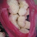 금천농원 이미지