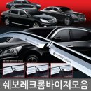 A490 이미지