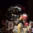 운남농장 | 눈 떠보니 난징(南京) Day1 &amp; 2