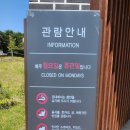 한글비석길(서측) | (충남 아산) 산책 / 둘레길 및 이순신 역사가 담긴 곳 "충무공 이순신 장군 묘소" 방문 후기