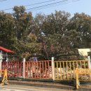 예빛유치원 이미지