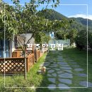 경주집 | [경주 애견동반펜션] 개인운동장과 오두막에서 즐기는 여름휴가 경주 &#34;앙꼬집&#34; 내돈내산 솔직후기