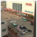 향남맘스홀릭
