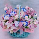 세진모드 이미지