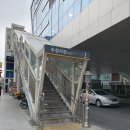 수성구 한식 수성시장 맛집 라이라이스
