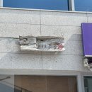 구읍씨 이미지