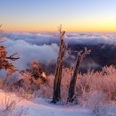 하얀나래 A 이미지