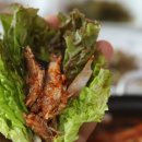 마산식당 네이버블로그