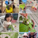 [다솜반 서윤아] 윤아와 콩콩이 성장일기 이미지