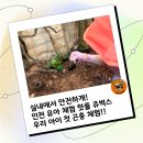 쥬벅스 이미지