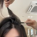 상지헤어샵 | 양재 미용실 준오헤어 양재2호점 레이어드컷 두피클리닉 후기