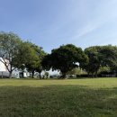 다시올게 | W5-1 종로 가성비 웨딩밴드 투어 [제이버튼/조이아] 비추천 솔직후기(계약X/견적공유O)