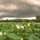 풍경농장 이미지