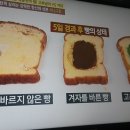 혈관탄력 매운맛,고추냉이/천기누설/기치유센터/기수련/기치료/자연요법/대체의학 이미지