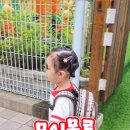 토브플레닛