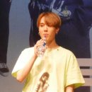 댕댕이모 이미지