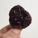 장 활동에 효과 본 테일러 푸룬 내돈내산 추천 후기 (말린 자두)