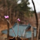 통일사 이미지