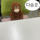 버터픽