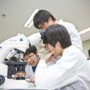 자연으로Ⅱ 이미지