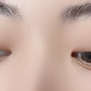 드바이래쉬 이미지