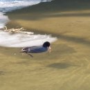 신림작은목욕탕 이미지