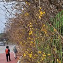 청량학동길 이미지