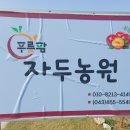 태금농장 네이버블로그