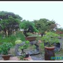 아름다움을먹다 이미지