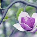 삶 - 그 언저리 이미지