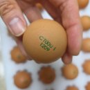 이삭농장 | 동물복지·무항생제·오메가3까지, 이삭농장 난각번호 1번 유정란 내돈내산 리뷰