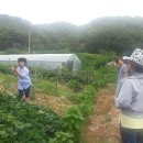 고구려목장 이미지