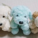 향기나는 강아지 이미지