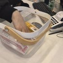 바로드림약국 이미지