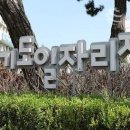 어썸 페어링 플랜트 네이버블로그