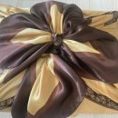 한국의 산삼과 상황버섯 이미지