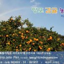 자명