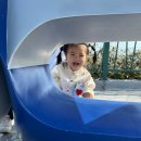 오륙도 조형물 이미지