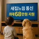 KT인터넷 티비 결합상품 사은품 요금 비교 정리