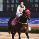 로얄더비파크 이미지