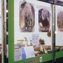 반송동118 이미지